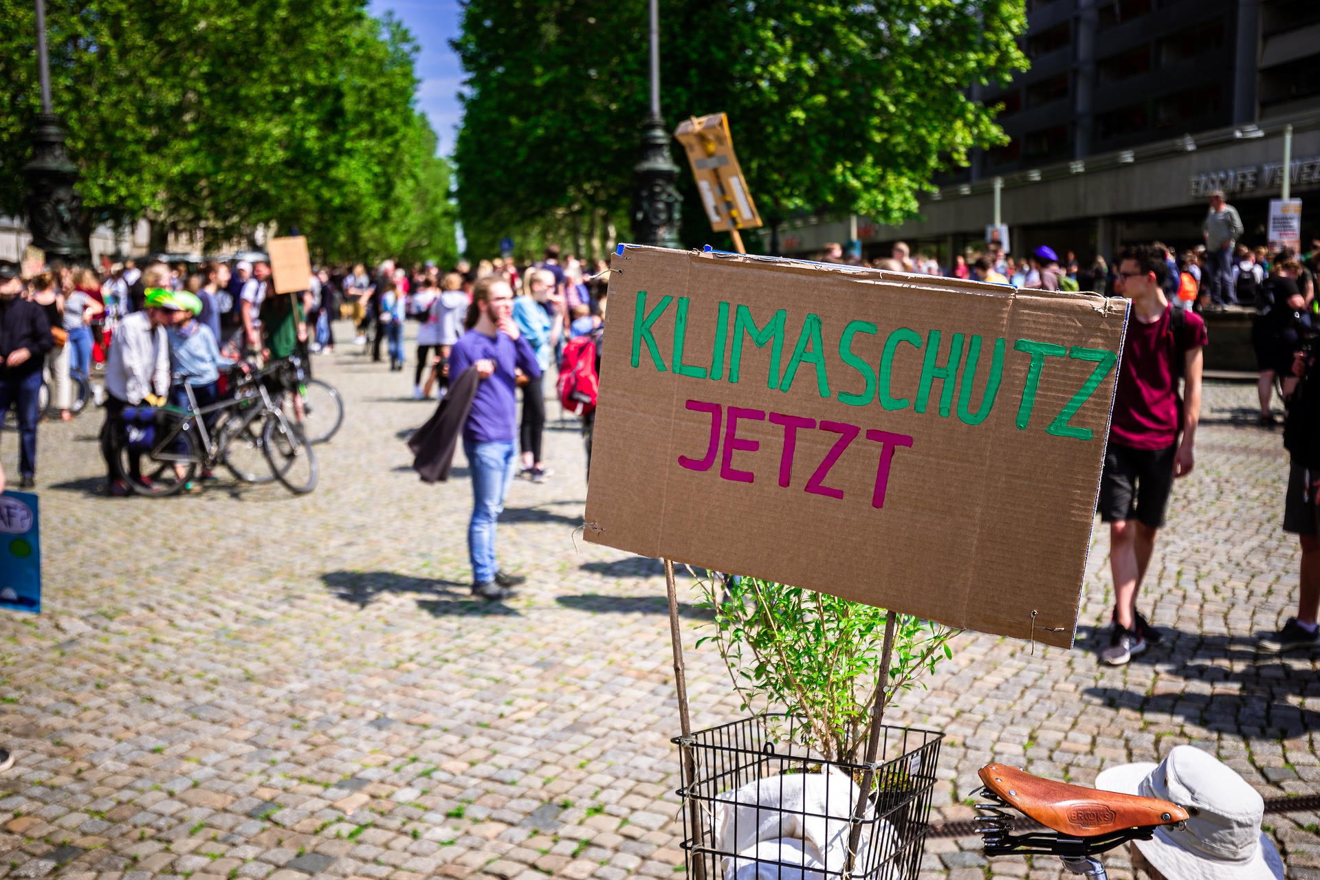 Schild Klimaschutz Jetzt